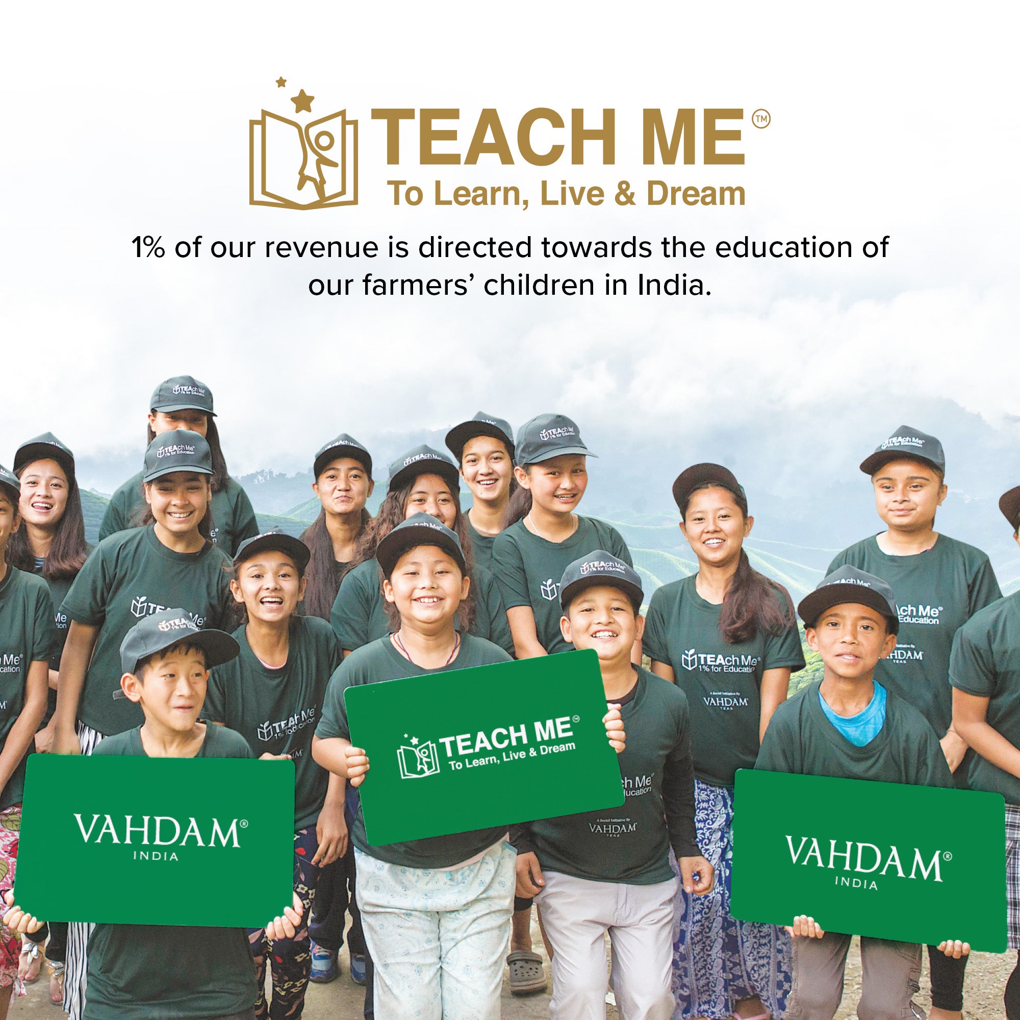 Turmeric Citrus Ginger Herbal Infusion18 TB