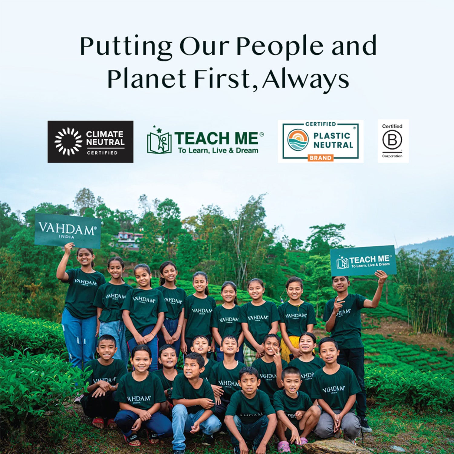 Assorted Green Tea Bags Sampler | 10 Tea Bags