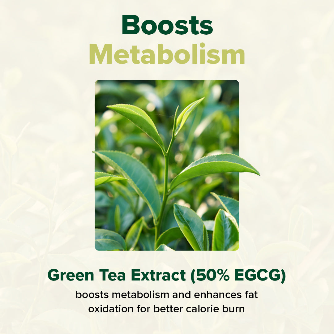 Green Burner Weight Management Supplement