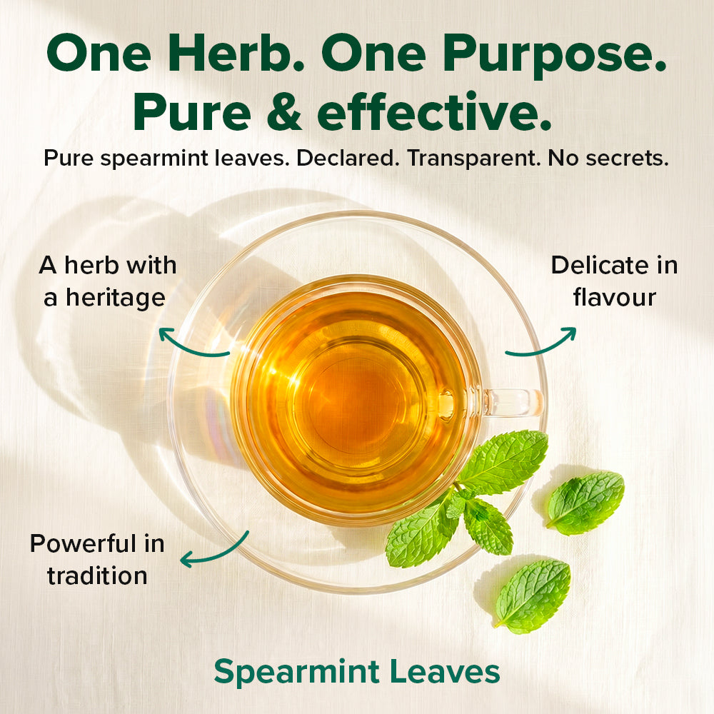 Pure Spearmint Herbal Infusion