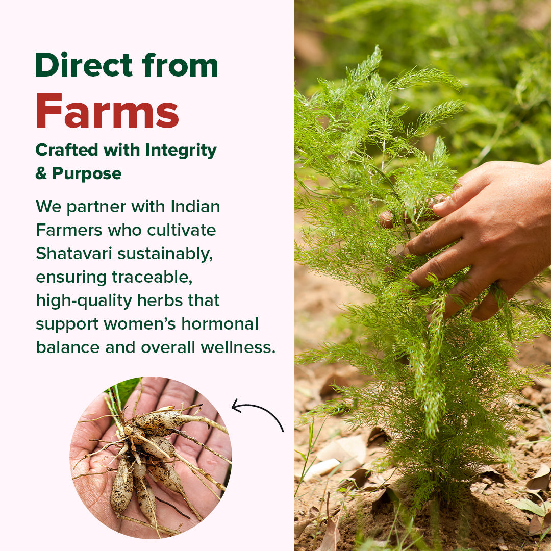 Shatavari Capsules 1300mg