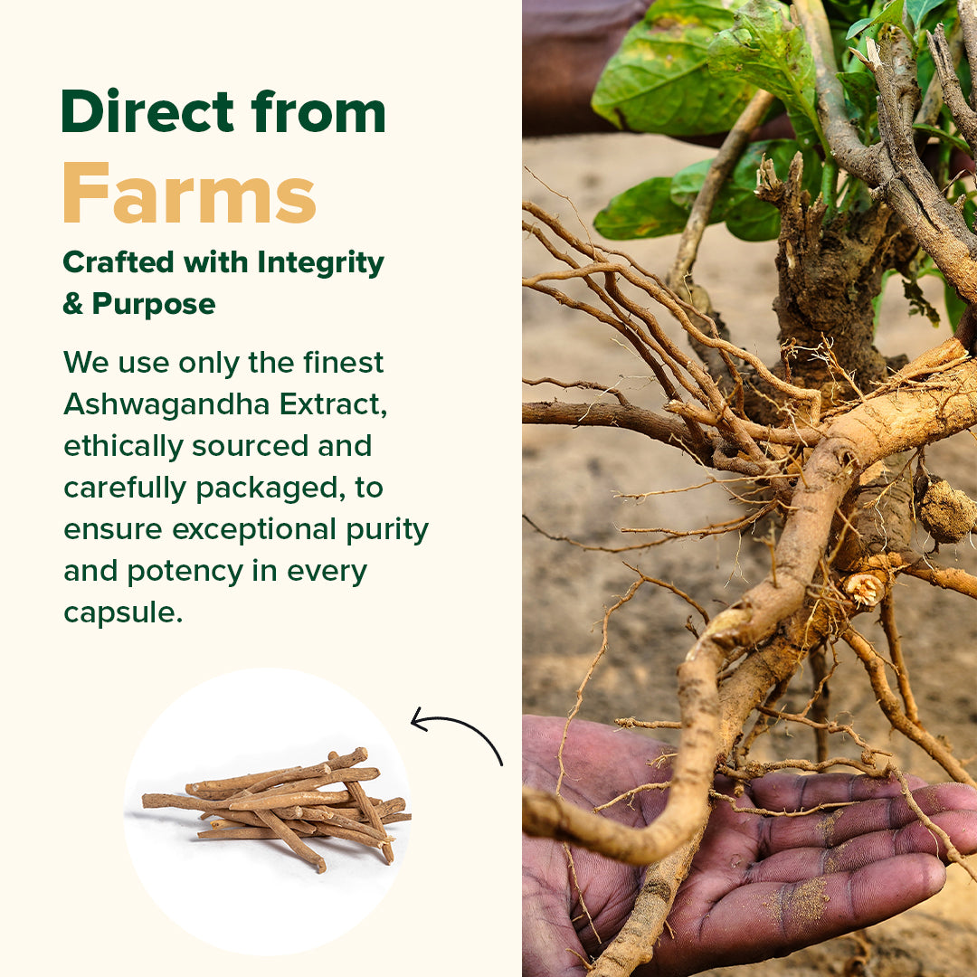 Ashwagandha Capsules 1000mg