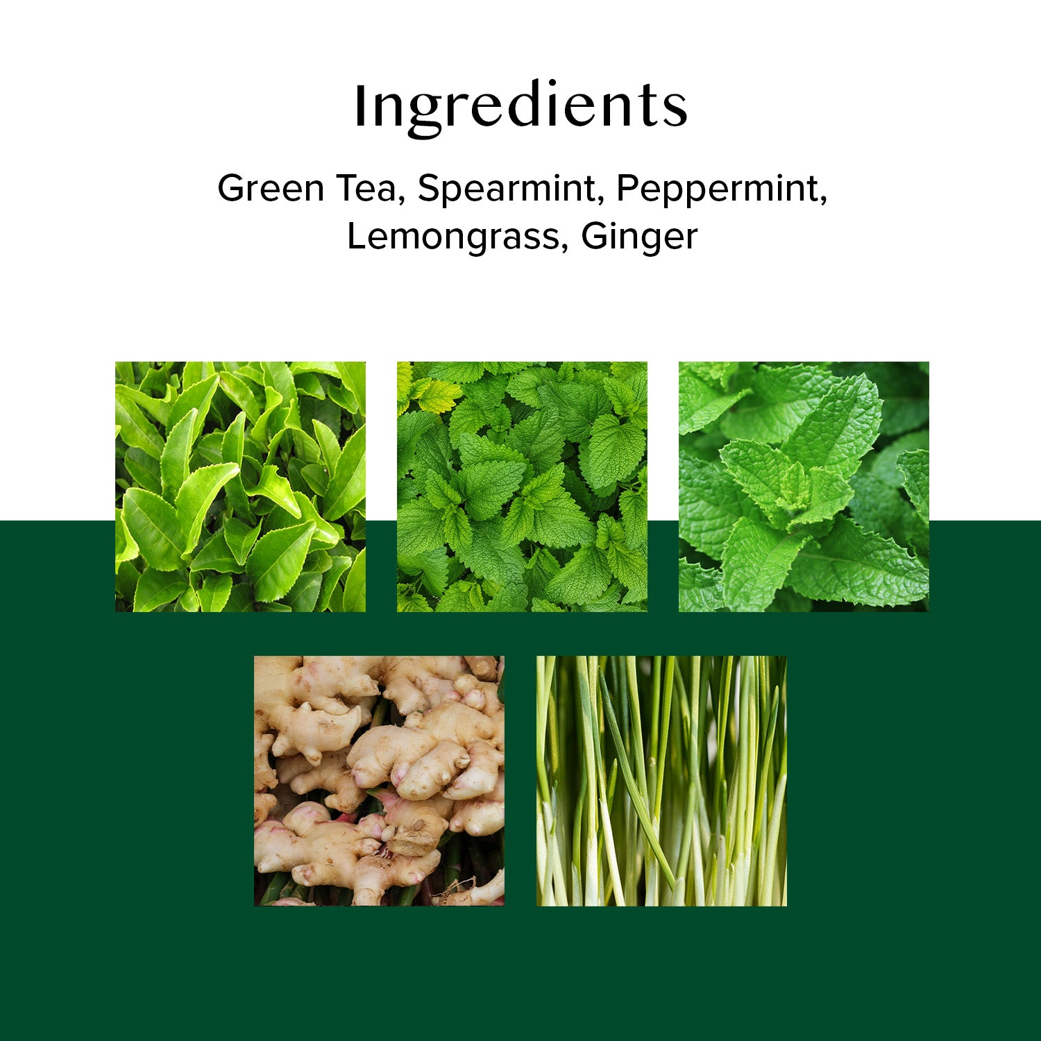 Ginger Mint Green Tea, 50 Count