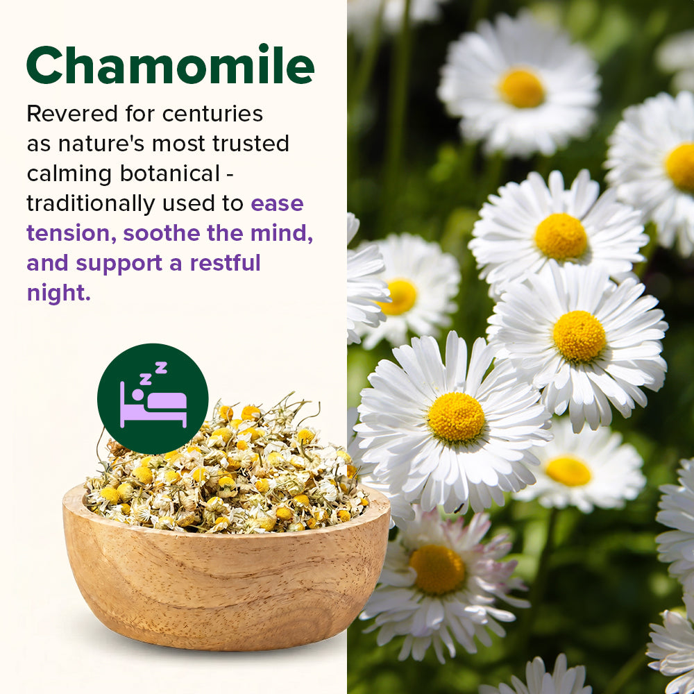 Restful Sleep Herbal Infusion - For Calming Mind