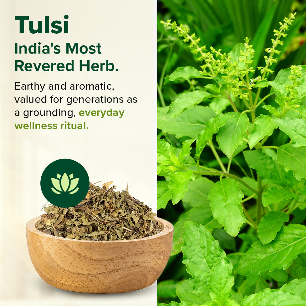 Pure Tulsi - For Daily Wellness