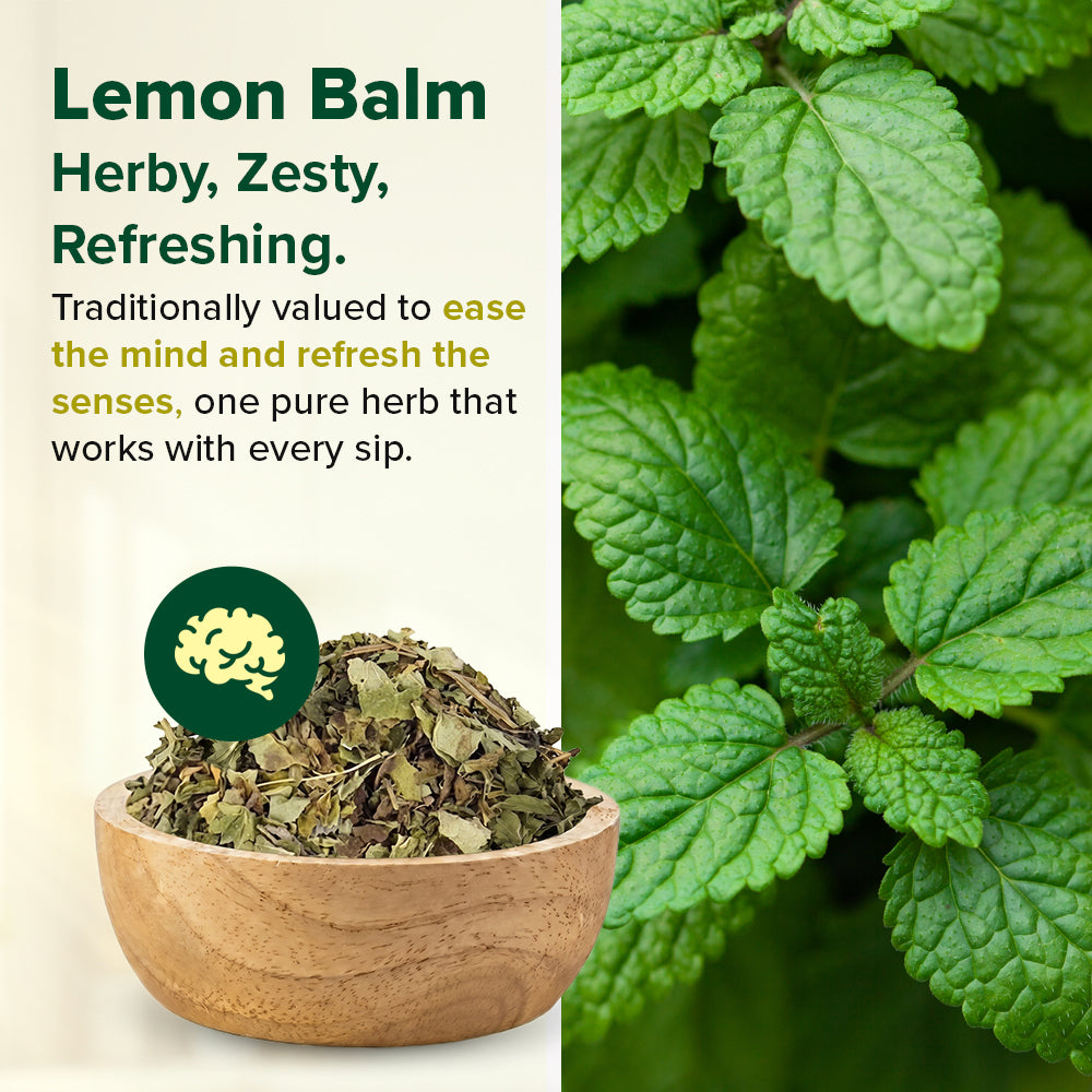 Lemon Balm - For Calm and Clarity
