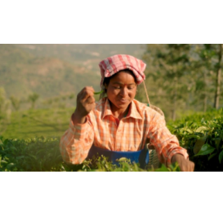 THE GARDEN ANECDOTES : MEET THE FARMERS