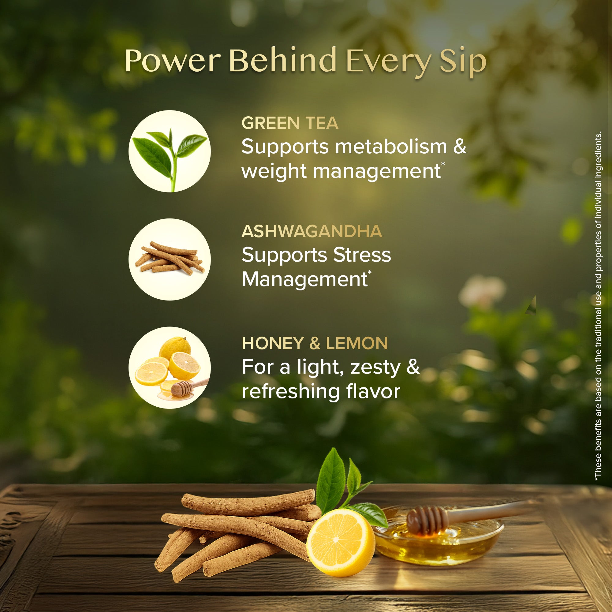 Wellness Starter Kit - 3 Green Teas + 1 Cup & Saucer