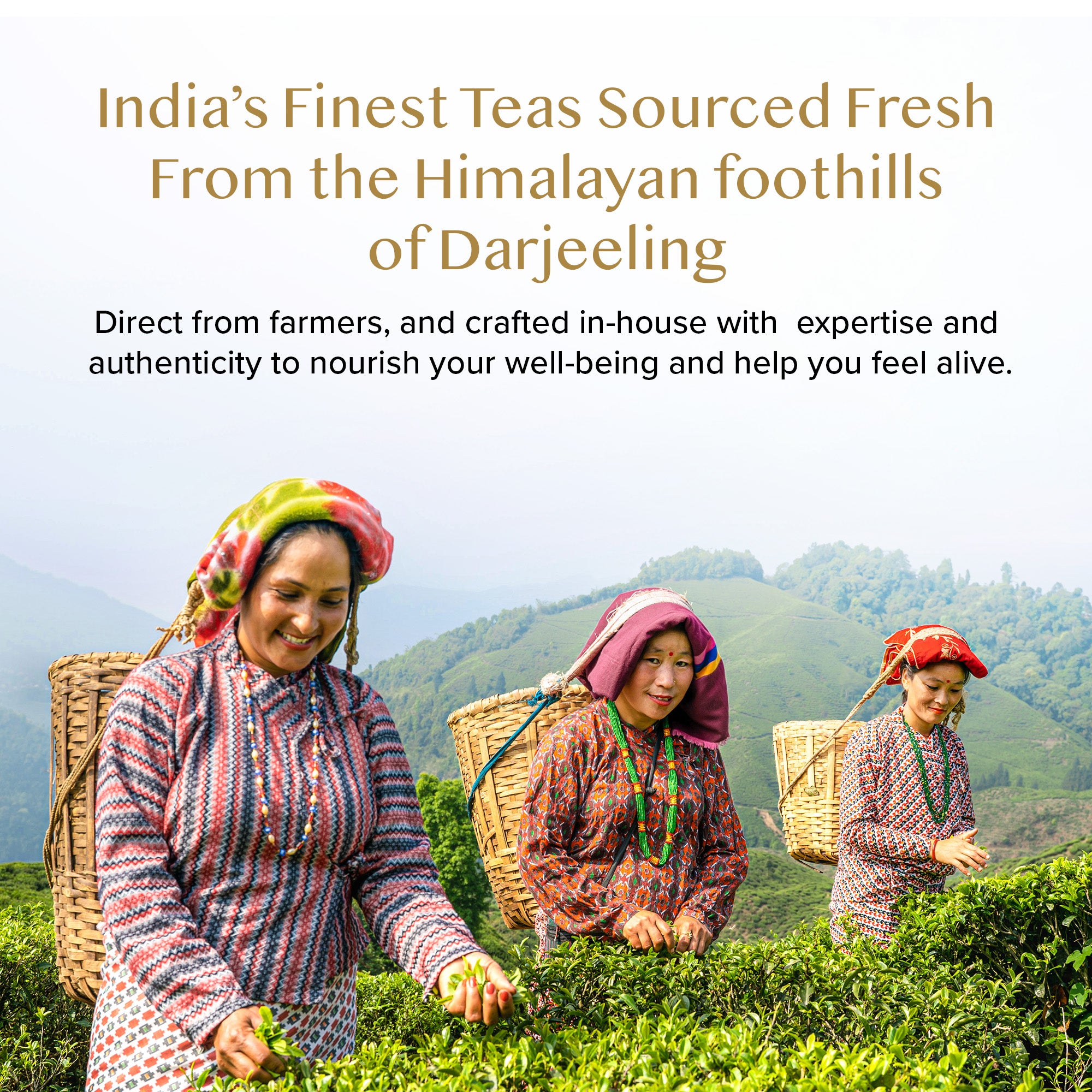 Ashwagandha+ Honey Lemon Green Tea 18 TB