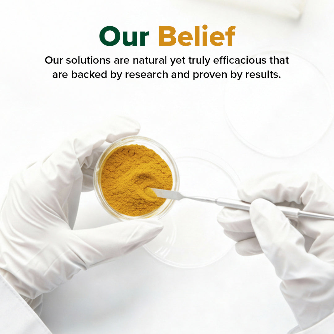 Berberine Capsules - For Blood Sugar Support