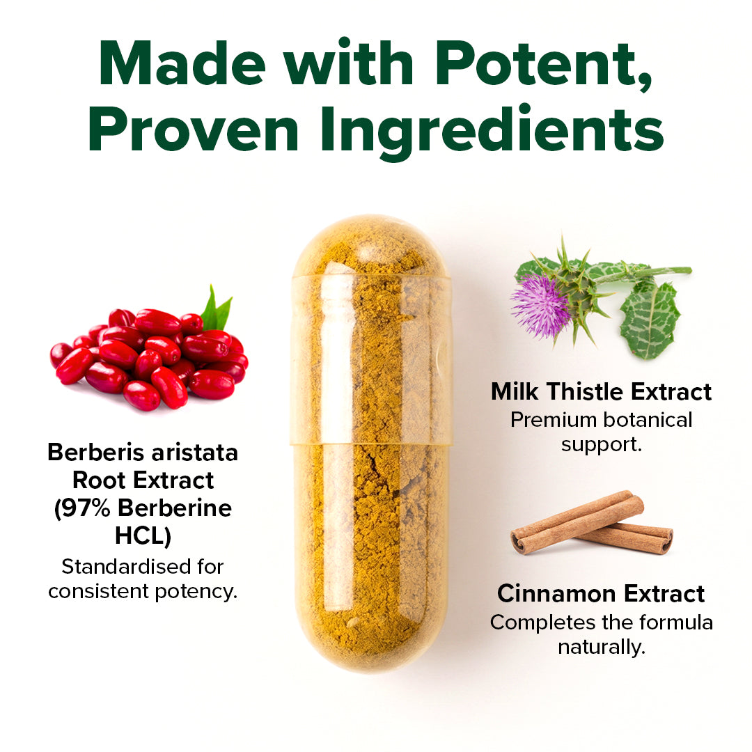 Berberine Capsules - For Blood Sugar Support