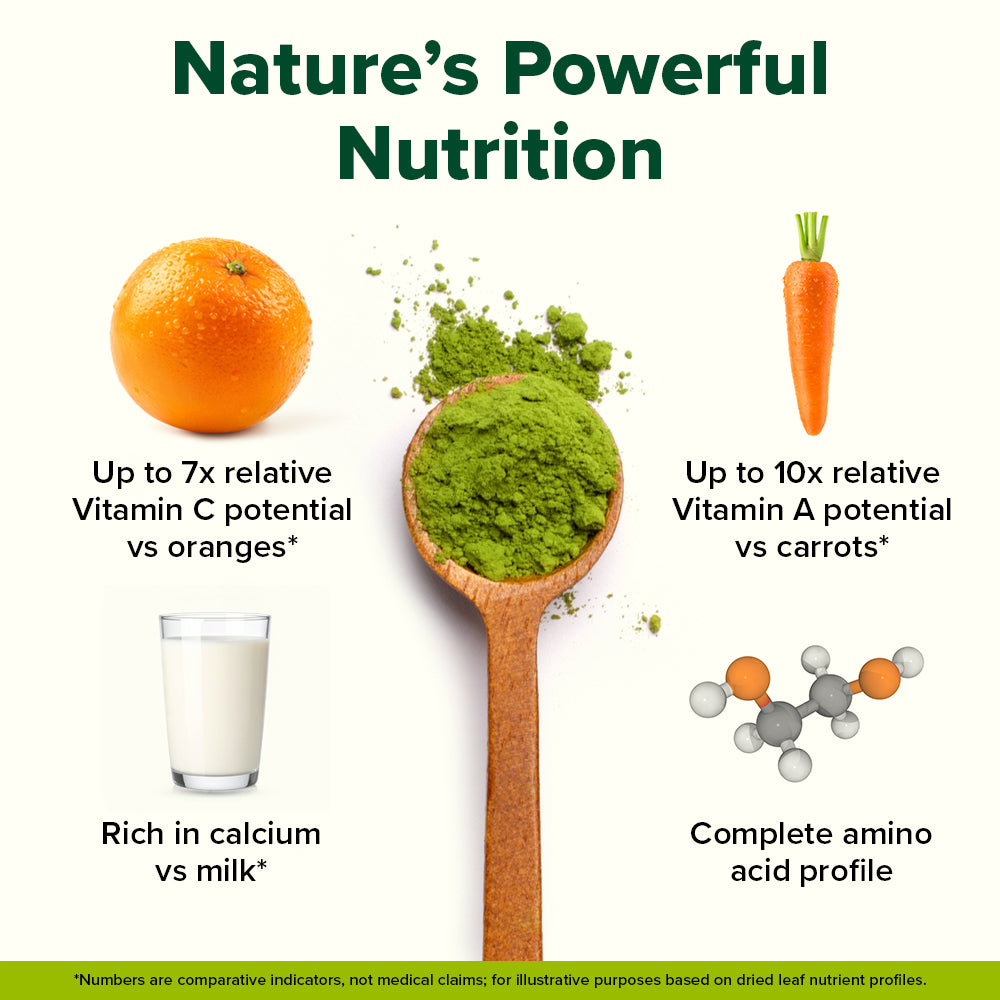 Moringa Powder