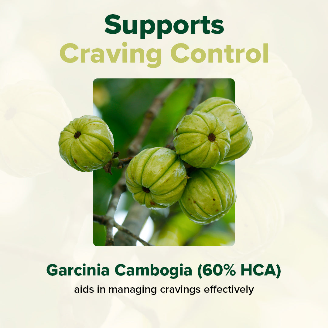 Green Burner Weight Management Supplement