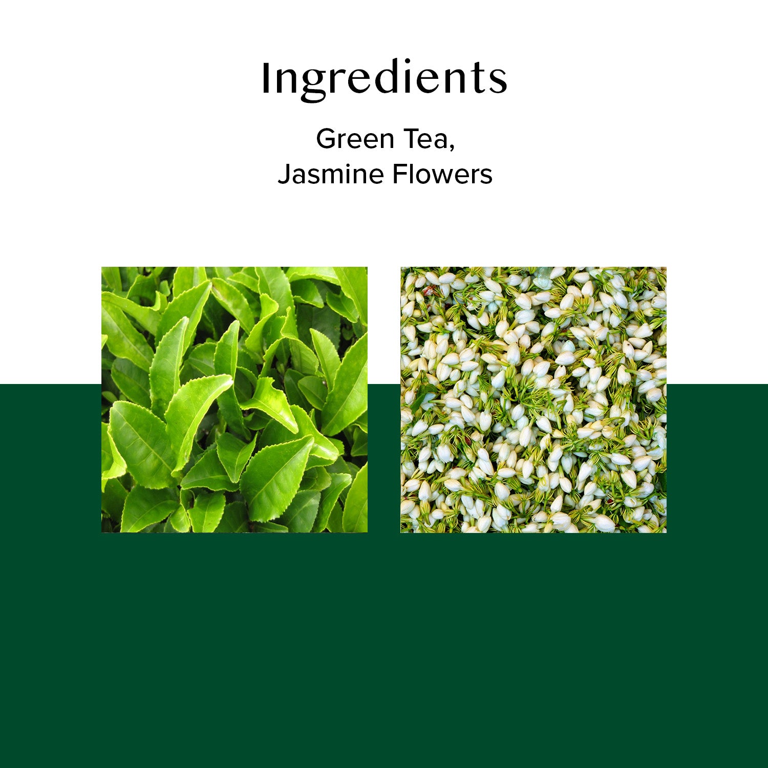 Jasmine Green Tea, 50 Count