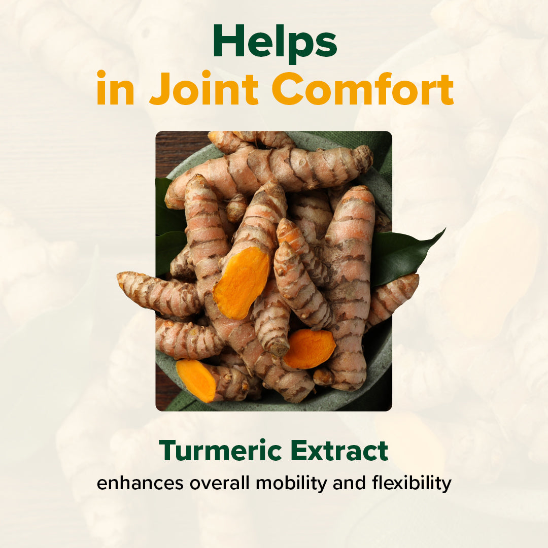 Lakadong Turmeric Curcumin Supplement - Anti Inflammatory Support
