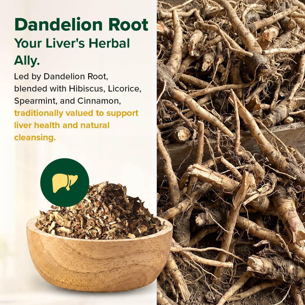Dandelion Root - For Liver Support and Natural Cleansing