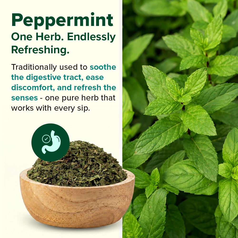 Pure Peppermint Herbal Infusion
