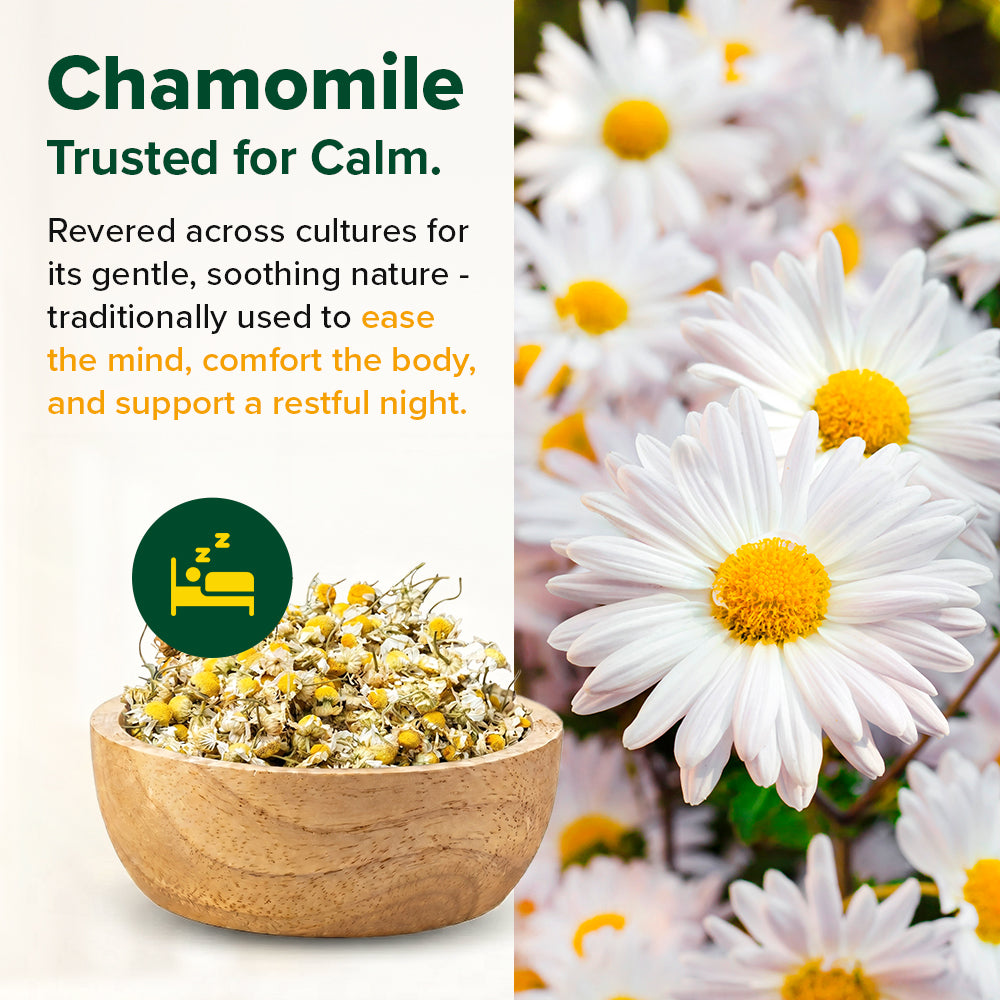 Pure Chamomile Herbal Infusion
