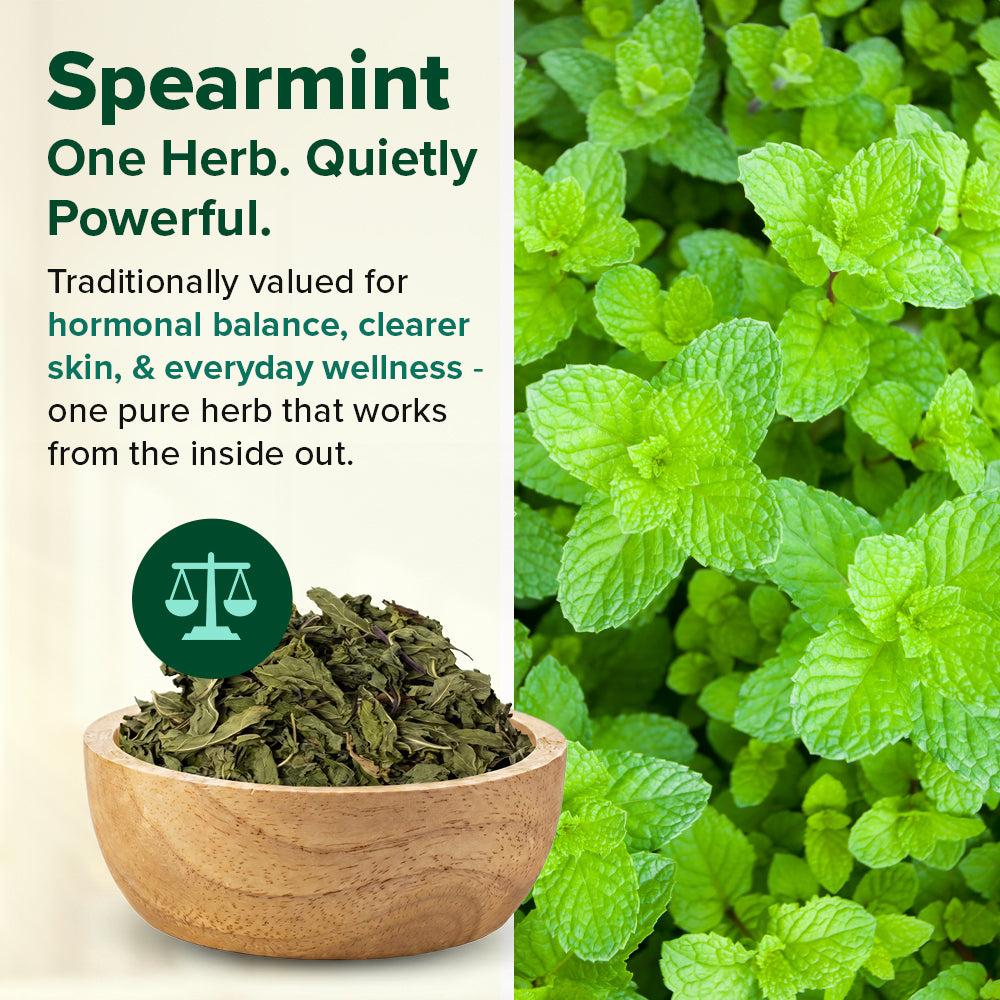 Pure Spearmint Herbal Infusion