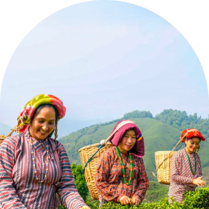 Descriptive alt text for accessibility