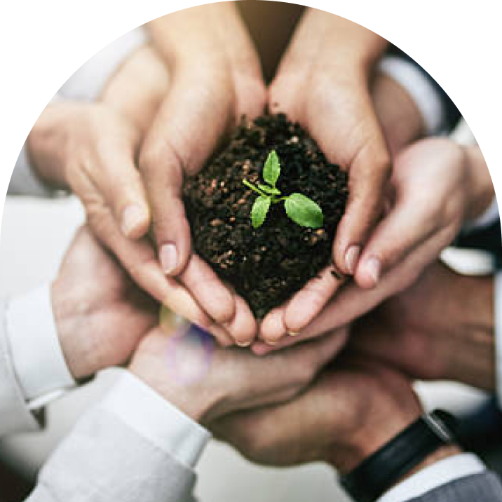 Descriptive alt text for accessibility