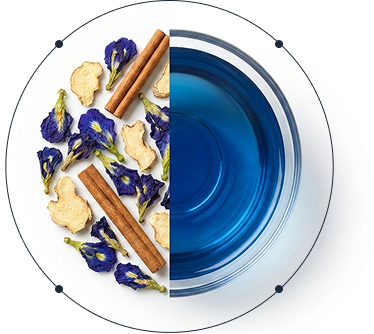 Daily Weight Management Support